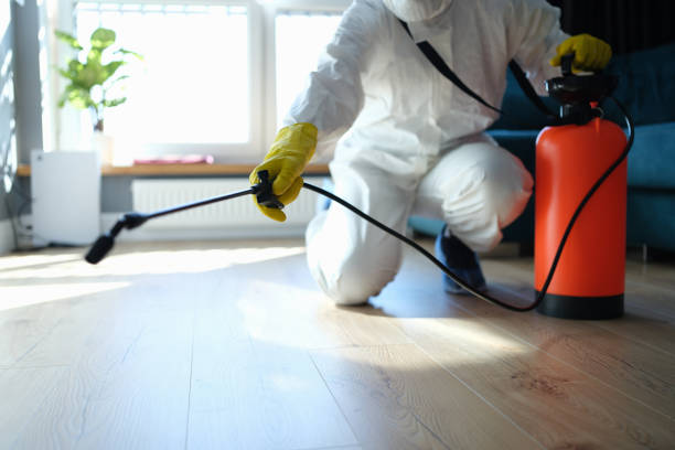 Reliable Sewage Cleanup contractor in Branchville, SC by Trauma Clean Pros
